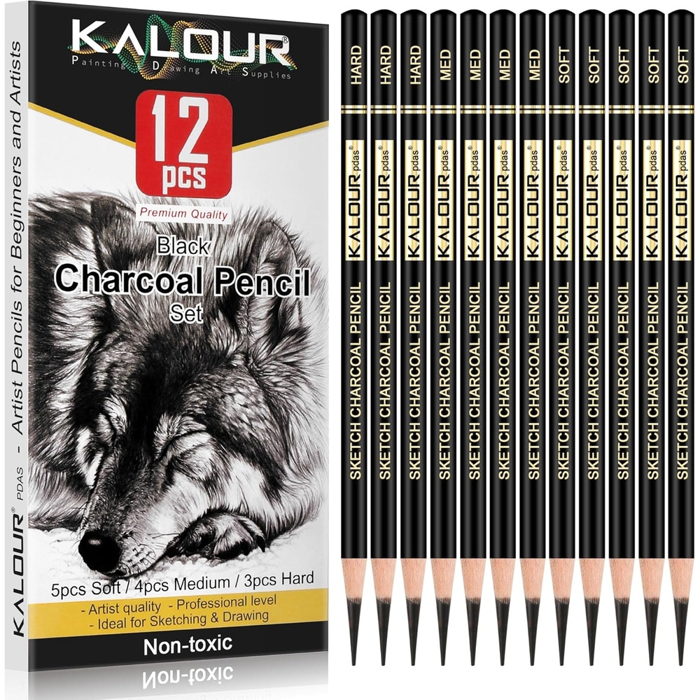 image:imageKALOUR Pro Colored Charcoal Drawing Set12 Pieces Pastel Chalk Pencils for Sketching Shading Blending Portrait Black White Charcoal for Beginners amp Artists12 Black Charcoal Pencils