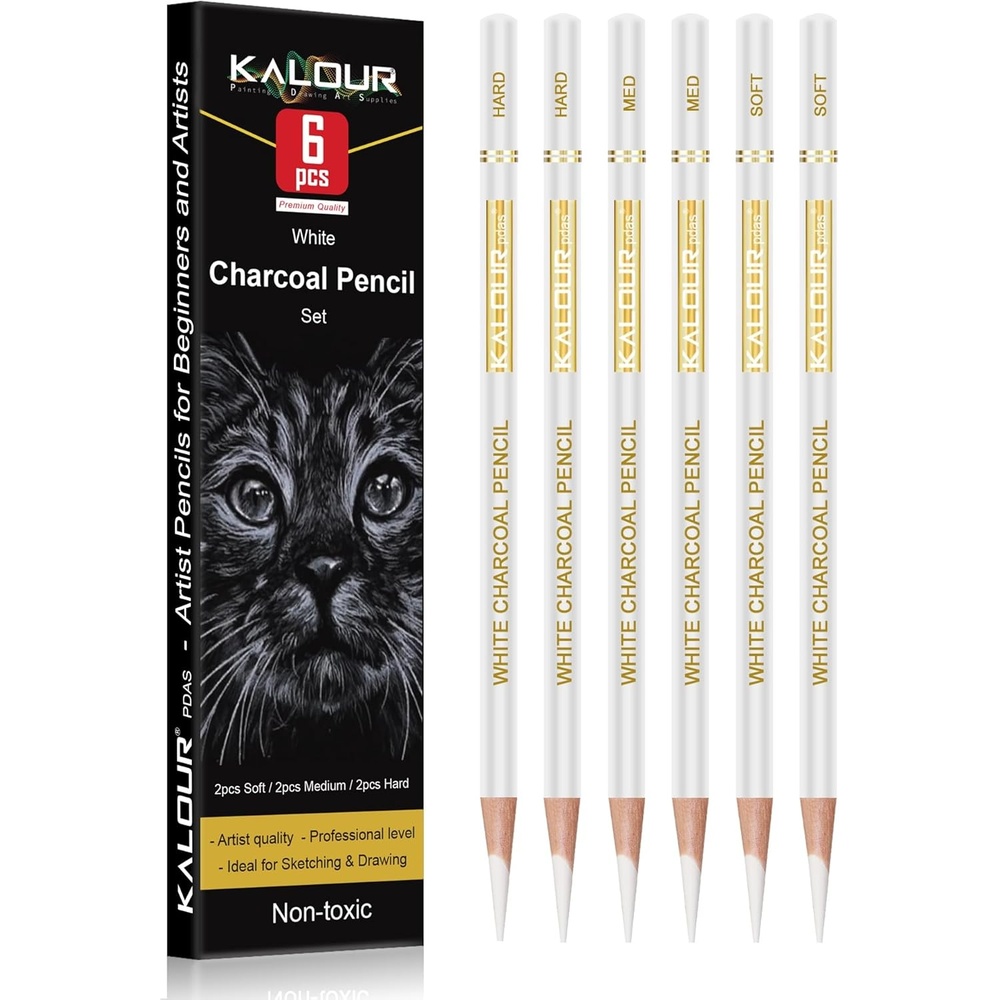 image:imageKALOUR Pro Colored Charcoal Drawing Set12 Pieces Pastel Chalk Pencils for Sketching Shading Blending Portrait Black White Charcoal for Beginners amp Artists6 White Charcoal Pencils