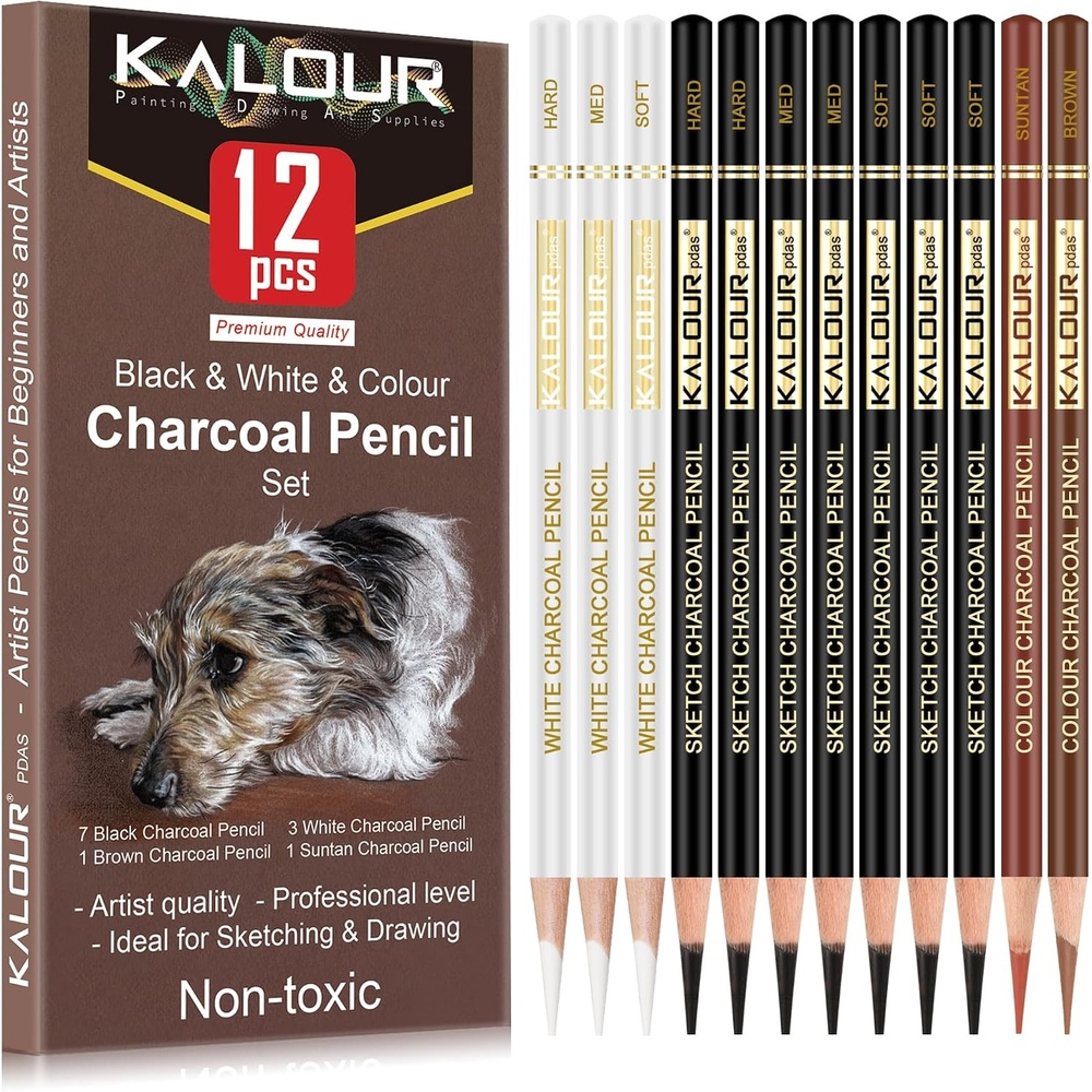 image:imageKALOUR Pro Colored Charcoal Drawing Set12 Pieces Pastel Chalk Pencils for Sketching Shading Blending Portrait Black White Charcoal for Beginners amp Artists12 Colored Charcoal Pencils