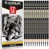 12 Black Charcoal Pencils
