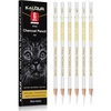 image:imageKALOUR Pro Colored Charcoal Drawing Set12 Pieces Pastel Chalk Pencils for Sketching Shading Blending Portrait Black White Charcoal for Beginners amp Artists6 White Charcoal Pencils