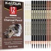 12 Colored Charcoal Pencils