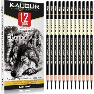 KALOUR Pro Colored Charcoal Drawing Set,12 Pieces Pastel Chalk Pencils for Sketching, Shading, Blending, Portrait, Black White Charcoal for Beginners & Artists(12 Black Charcoal Pencils)