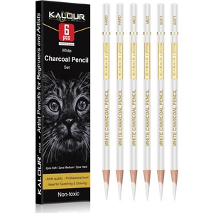 KALOUR Pro Colored Charcoal Drawing Set,12 Pieces Pastel Chalk Pencils for Sketching, Shading, Blending, Portrait, Black White Charcoal for Beginners & Artists(6 White Charcoal Pencils)