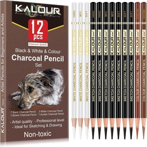 KALOUR Pro Colored Charcoal Drawing Set,12 Pieces Pastel Chalk Pencils for Sketching, Shading, Blending, Portrait, Black White Charcoal for Beginners & Artists(12 Colored Charcoal Pencils)